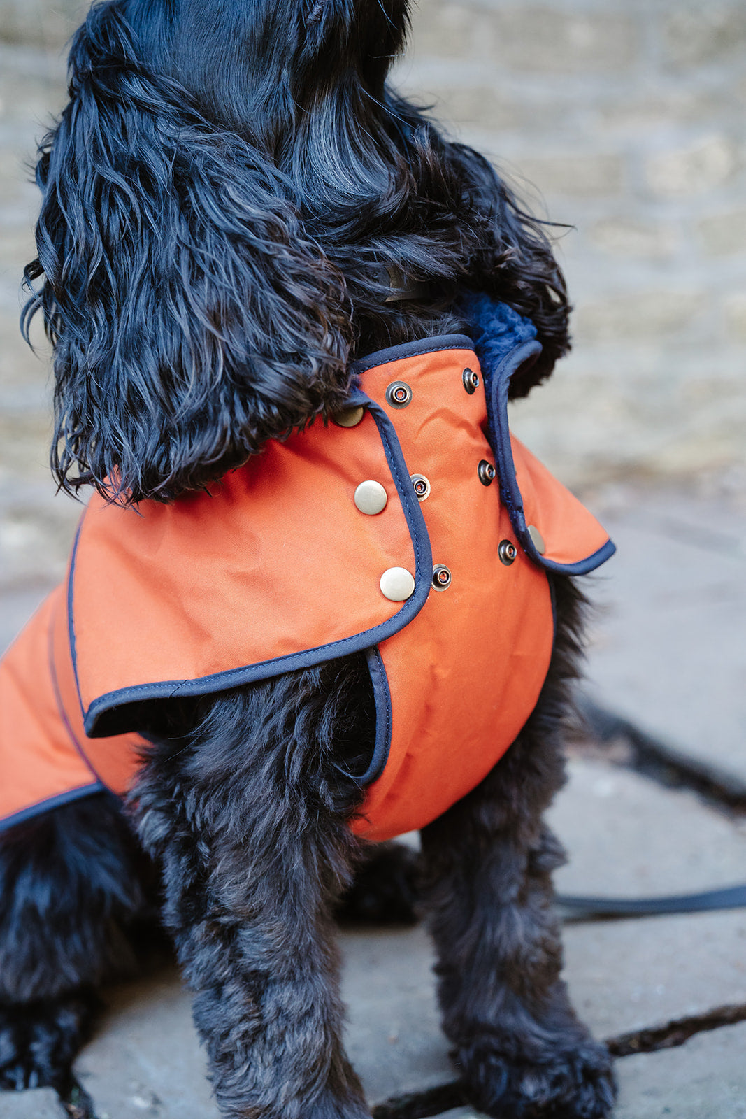 Winston James Woof Blood Orange Winter Jacket