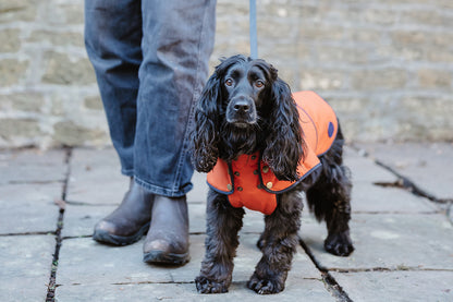 Winston James Woof Blood Orange Winter Jacket