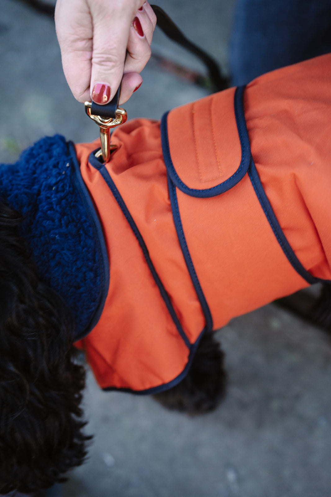 Winston James Woof Blood Orange Winter Jacket