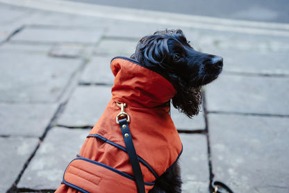 Winston James Woof Blood Orange Winter Jacket