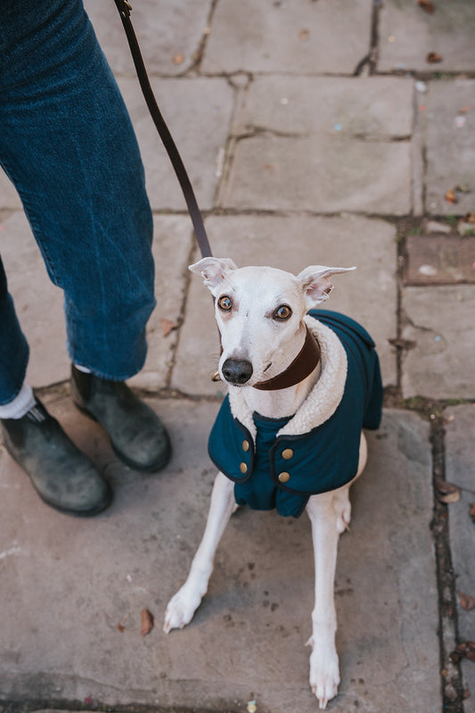 Winston James Woof Dark Petrol Blue Winter Jacket