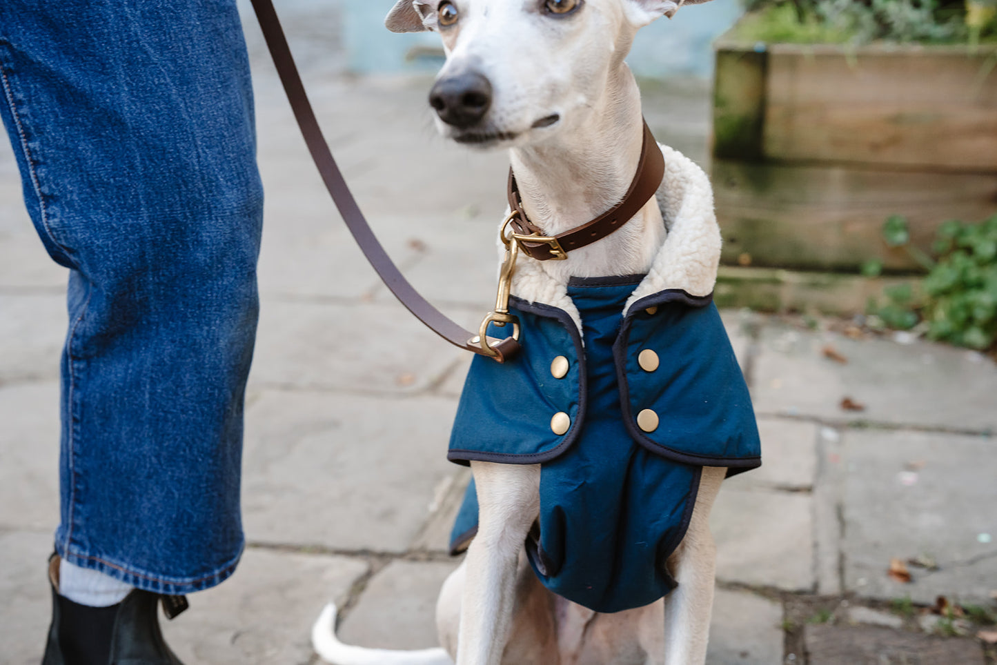 Winston James Woof Dark Petrol Blue Winter Jacket