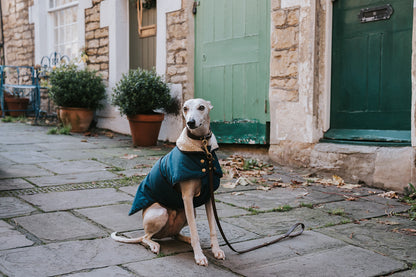 Winston James Woof Dark Petrol Blue Winter Jacket