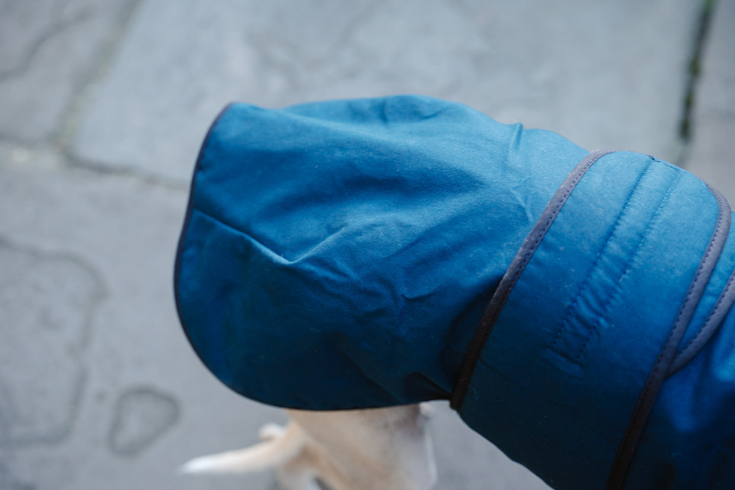 Winston James Woof Dark Petrol Blue Winter Jacket