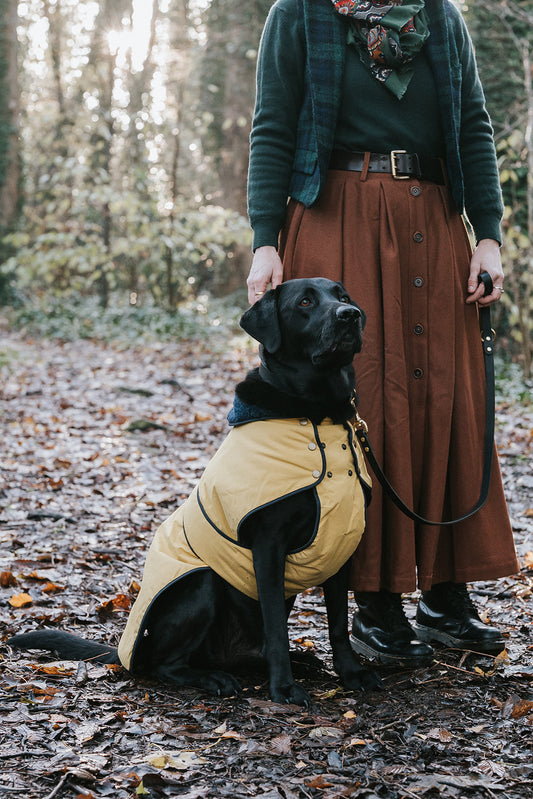 Winston James Woof Sunshine Yellow Winter Jacket