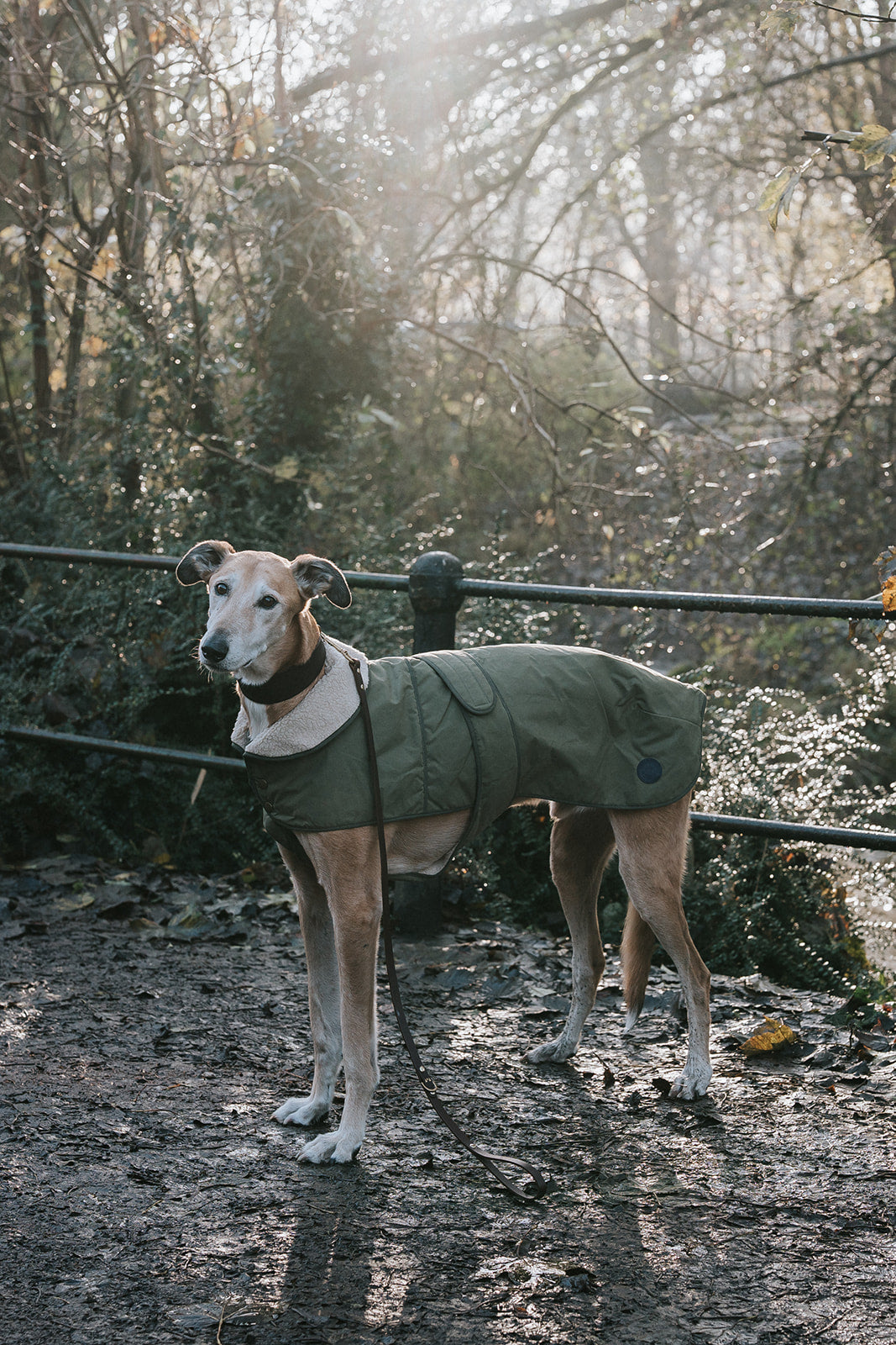 Winston James Woof Olive Green Winter Jacket