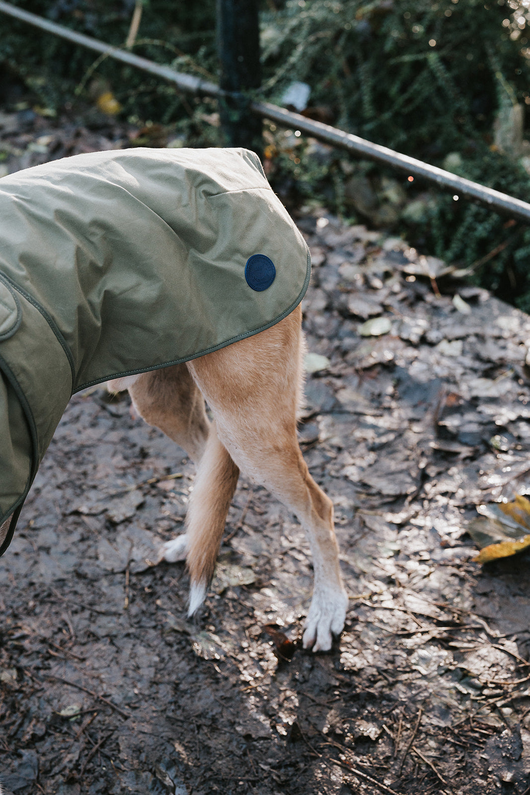 Winston James Woof Olive Green Winter Jacket