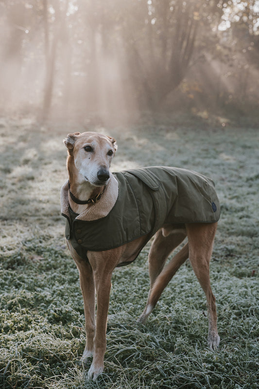 Winston James Woof Olive Green Winter Jacket