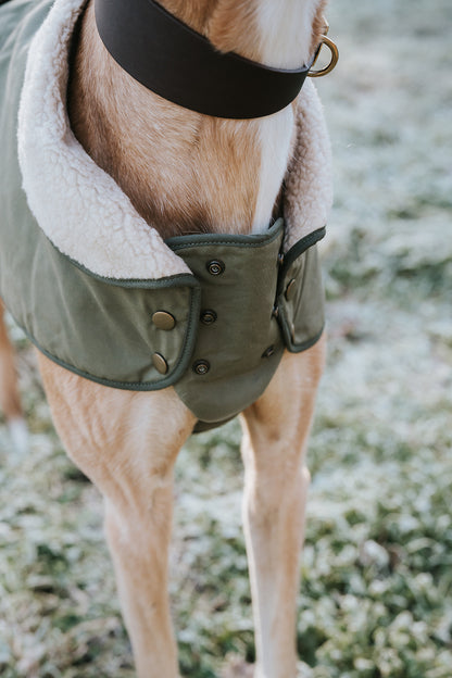 Winston James Woof Olive Green Winter Jacket
