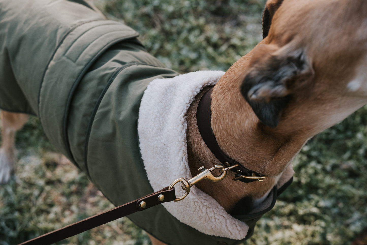 Winston James Woof Olive Green Winter Jacket
