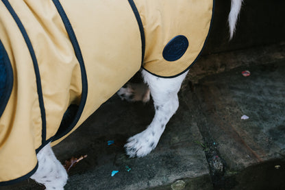 Winston James Woof Sunshine Yellow Winter Jacket