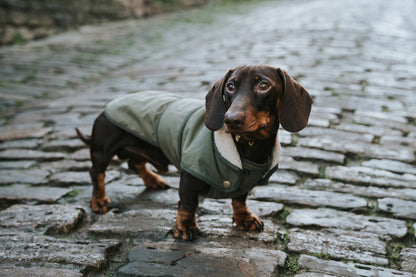Winston James Woof Olive Green Winter Jacket