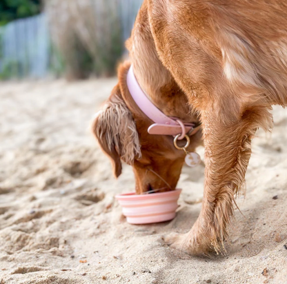 Cali Fluff Co. Collapsible Water Bowl