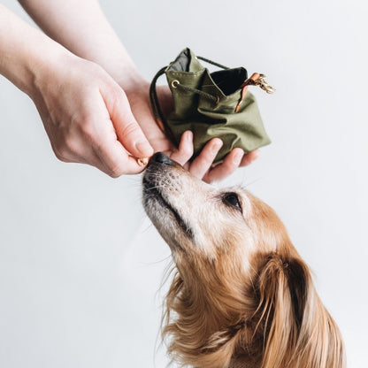 Dapper Dog Club Waxed Canvas Treat Pouch