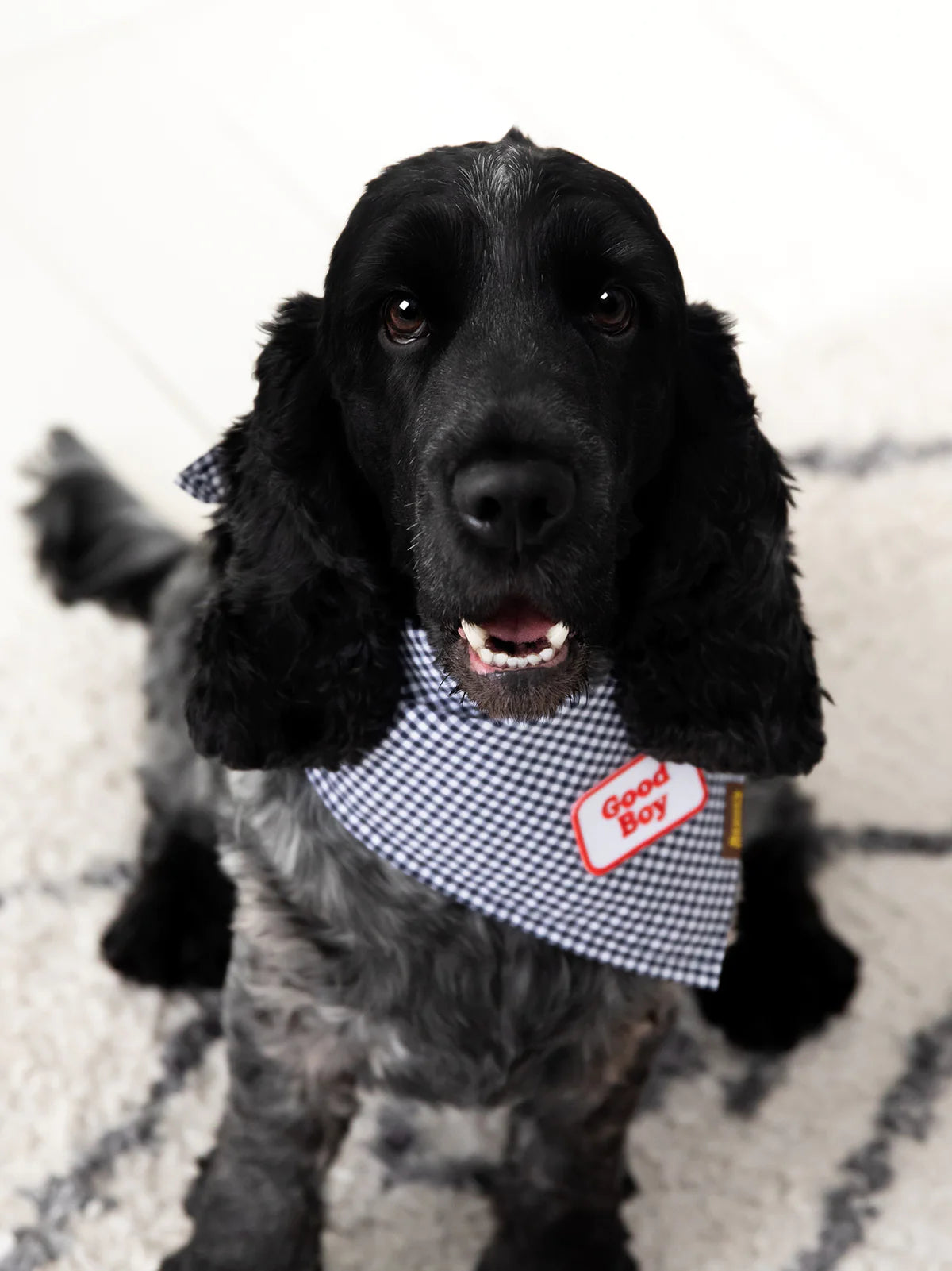 Scout’s Honour Iron-on Embroidered Merit Badges