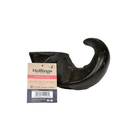 Hollings Buffalo Horn