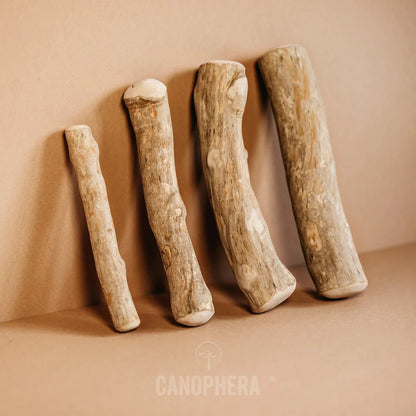Canophera Coffee Wood Chew Stick
