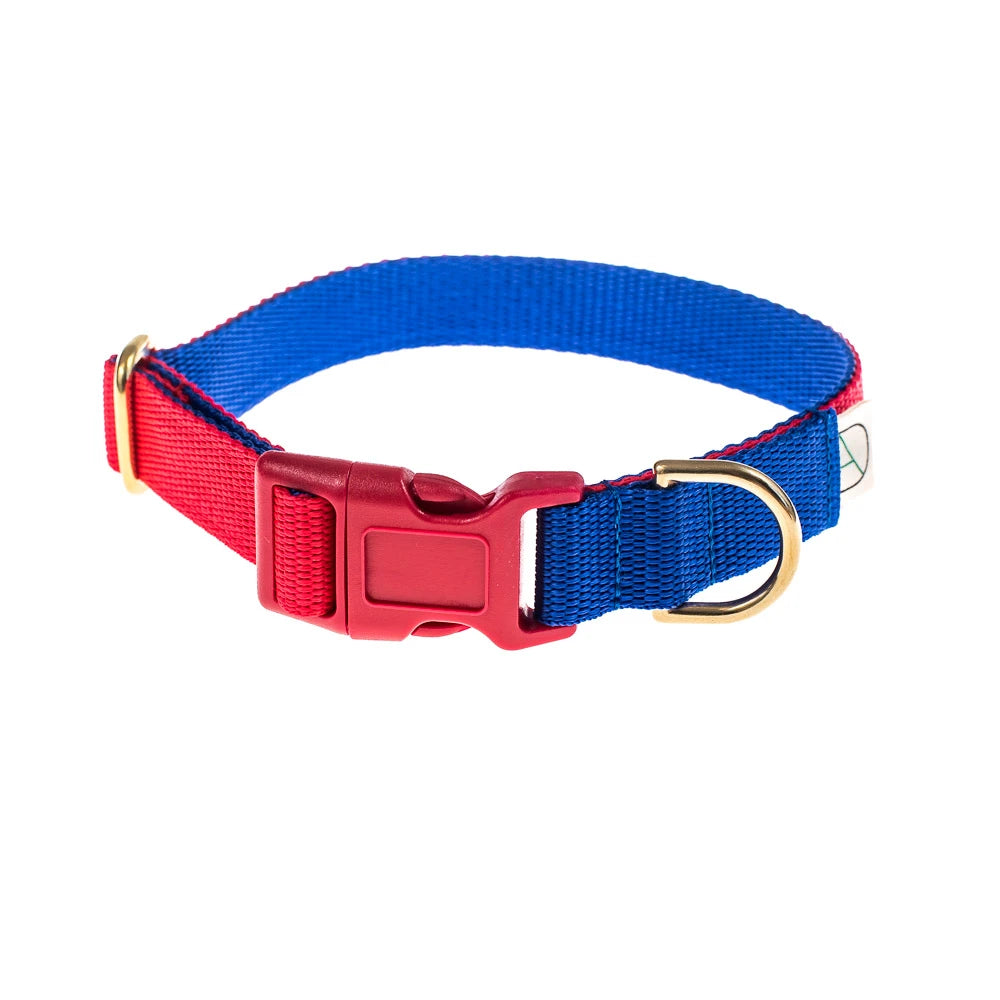 Doggie Apparel ‘King’ Red & Royal Collar