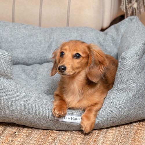 Mutts and Hounds Stoneham Tweed Boxy Dog Bed