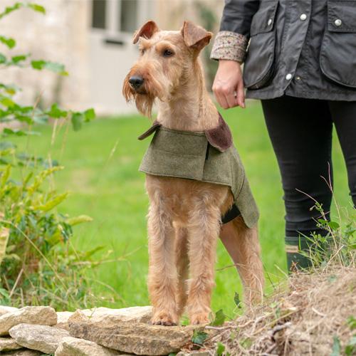 Mutts and Hounds Forest Green Tweed Dog Coat