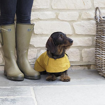 Mutts and Hounds Mustard Waxed Waterproof Dog Coat