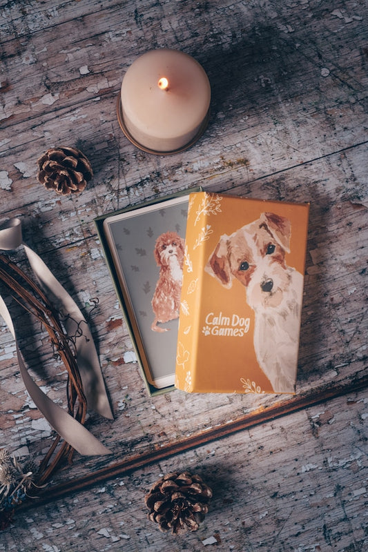 Calm Dog Games Volume 1 Games and Enrichment Set