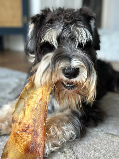 JR Pet Products Premium Moon Bone