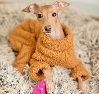 The Trendy Whippet Teddy Bear Fluffy Sighthound Onesie Pyjamas