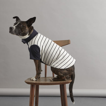Fetch and Follow Navy and Cream Striped Dog Sweater