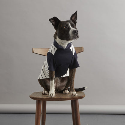 Fetch and Follow Navy and Cream Striped Dog Sweater