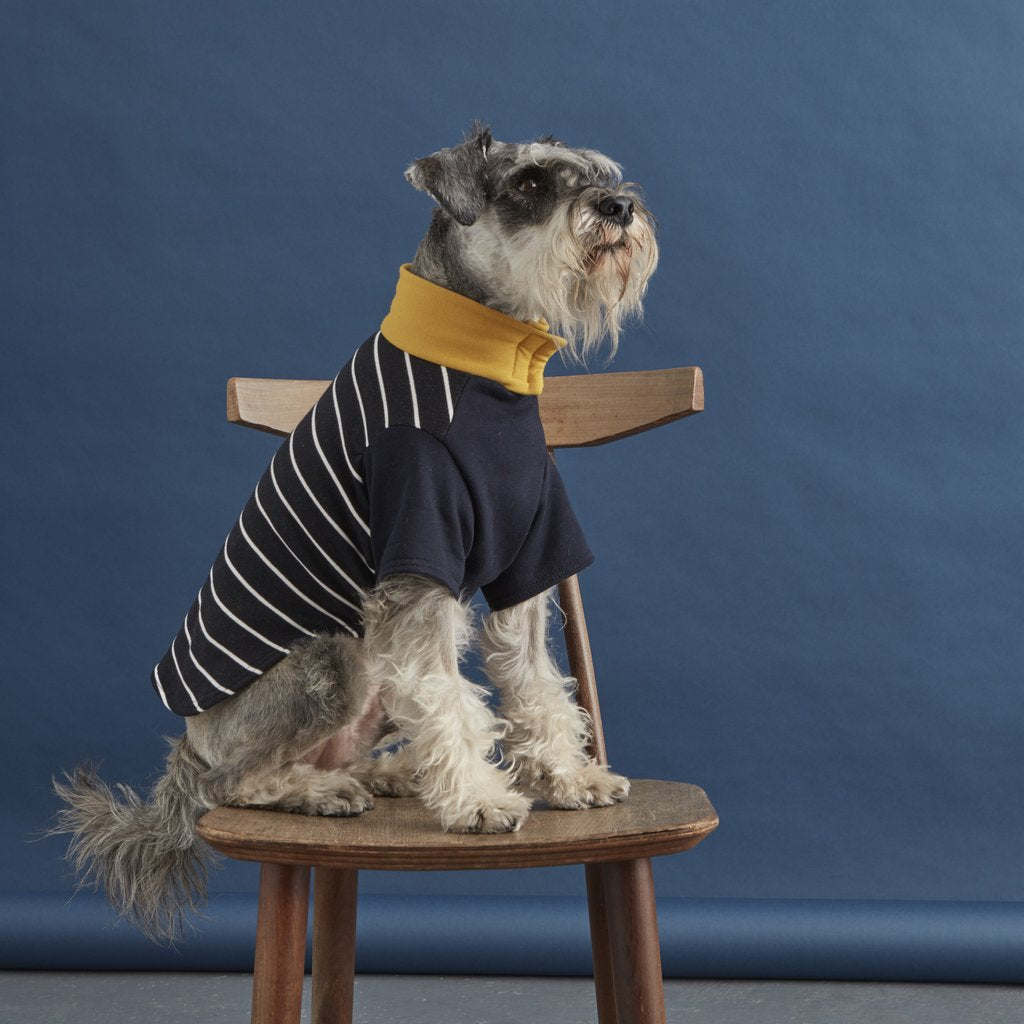 Fetch and Follow Navy and Yellow Striped Dog Sweater