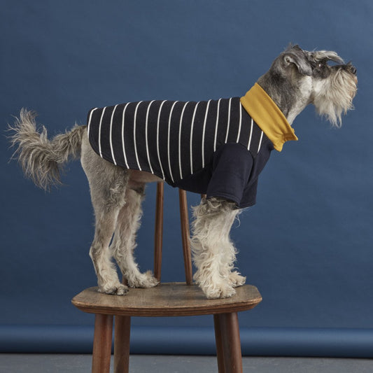 Fetch and Follow Navy and Yellow Striped Dog Sweater