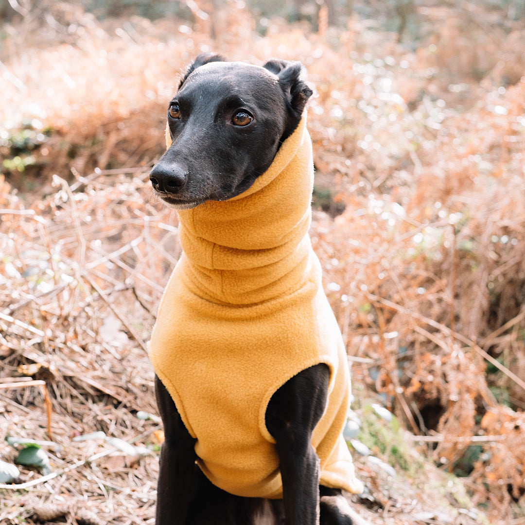 Redhound for Dogs Dijon Fleece Jumper