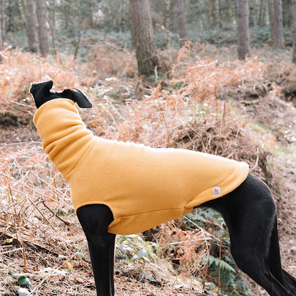 Redhound for Dogs Dijon Fleece Jumper