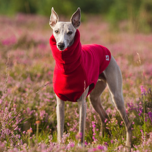 Redhound for Dogs Red Fleece Jumper