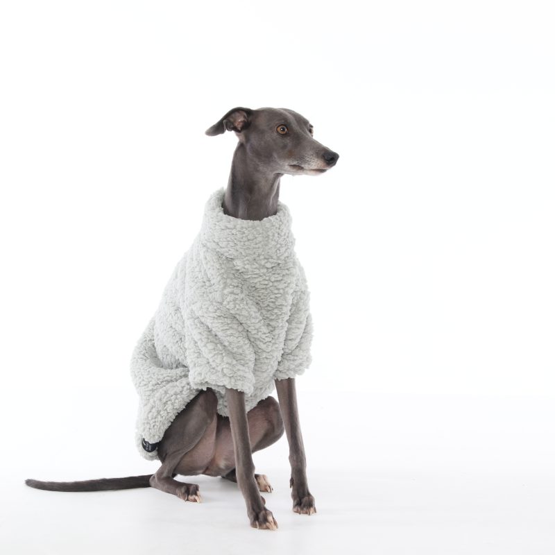 Fluffy whippet hot sale