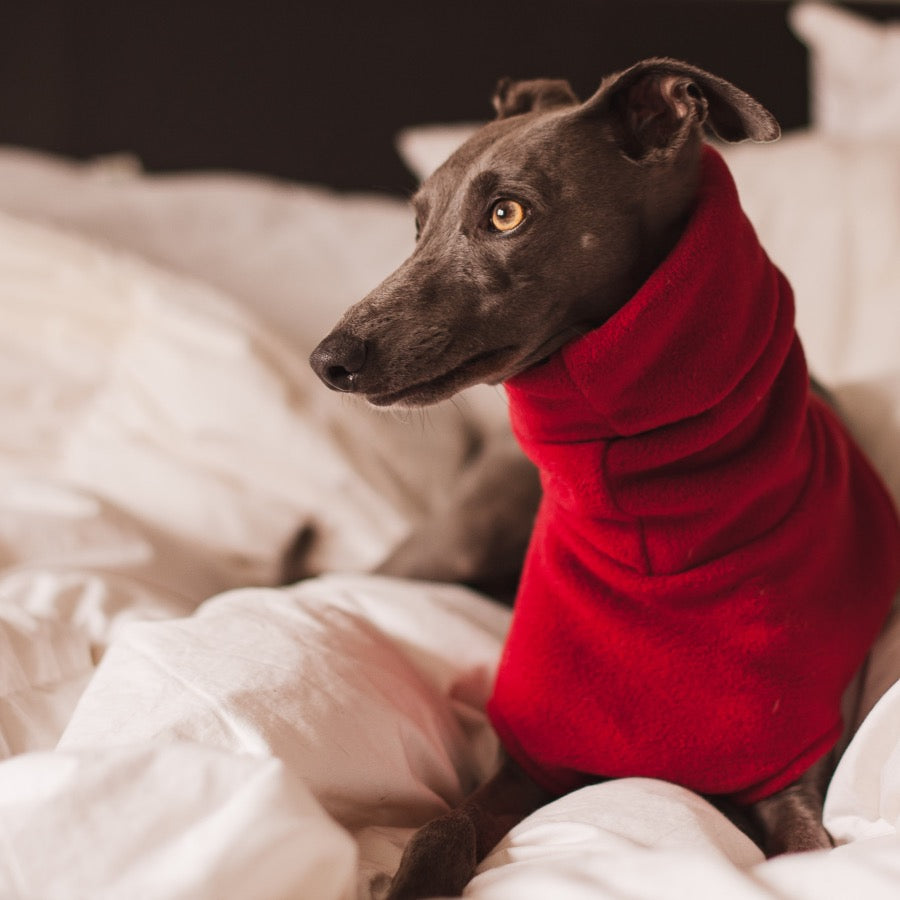 Redhound for Dogs Red Fleece Jumper