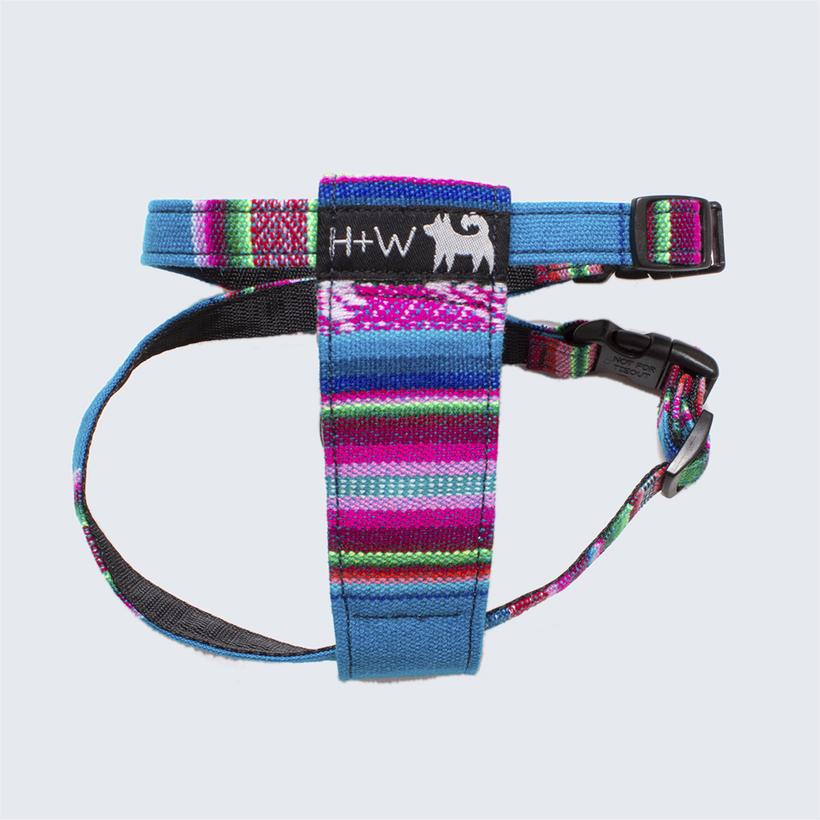 Hiro and Wolf Inca Blue Harness