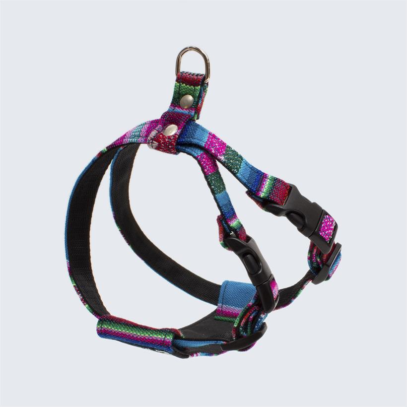 Hiro and Wolf Inca Blue Harness