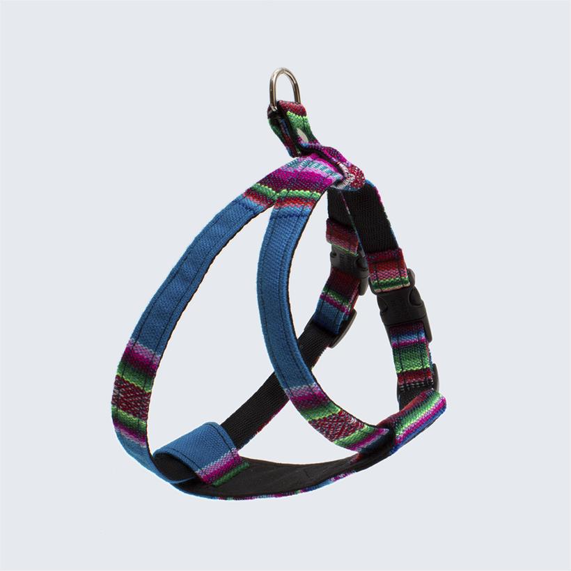 Hiro and Wolf Inca Blue Harness