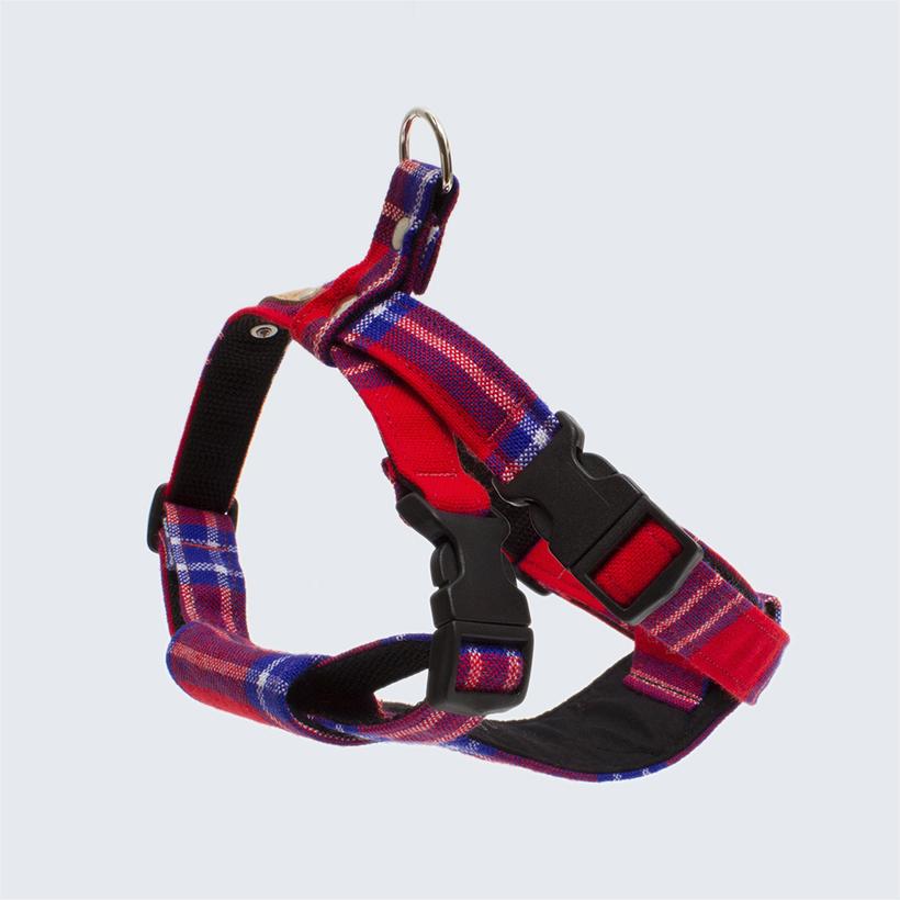 Hiro and Wolf Shuka Red Harness