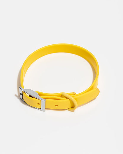 Wild One Butter Poly Strap Collar