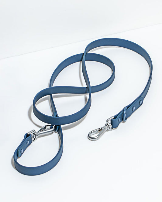 Wild One Blue Poly Strap Lead
