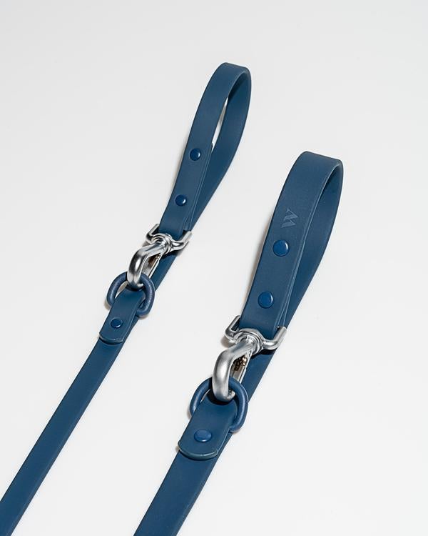 Wild One Blue Poly Strap Lead