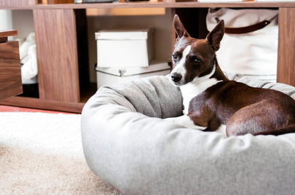 Vackertass Stone Halo Bed