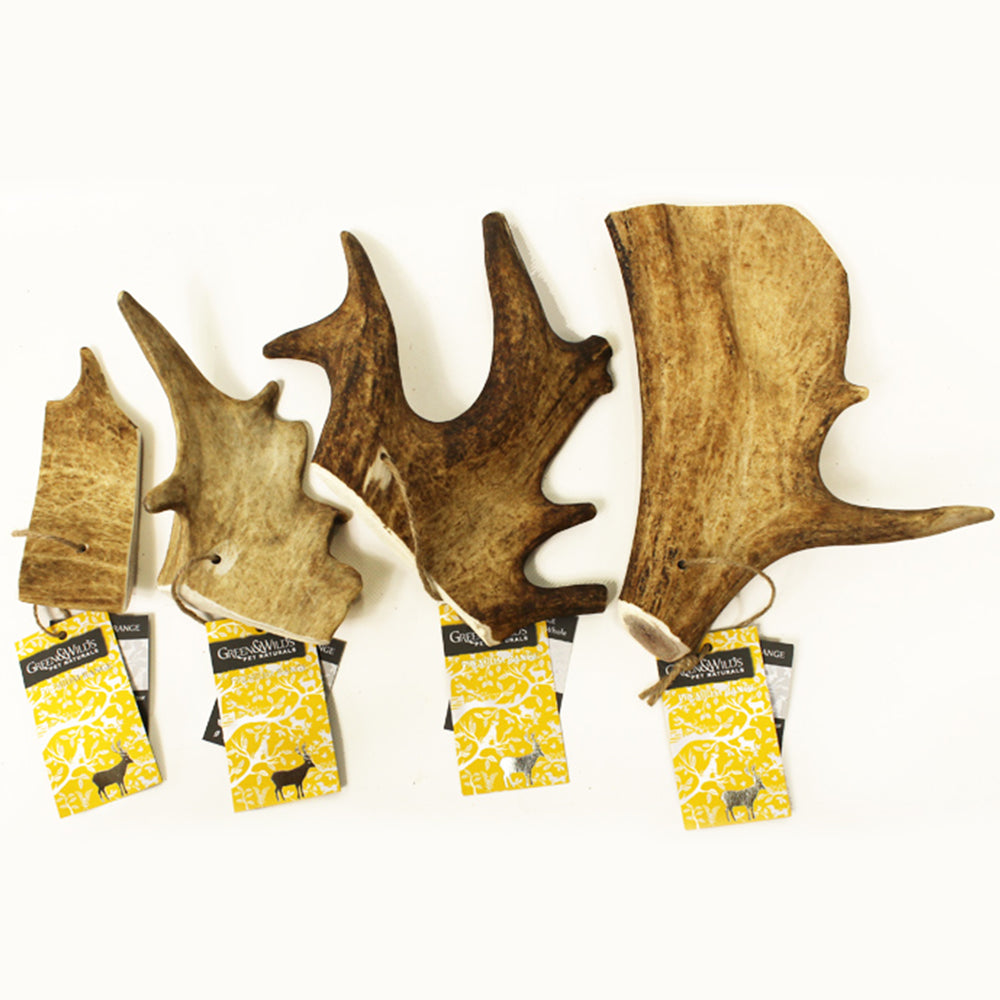 Green and Wild's Fallow Antler Chews