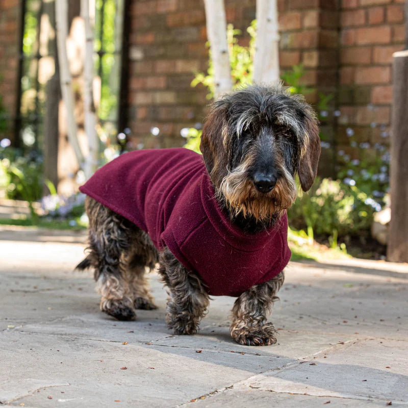 Stix online dog coats