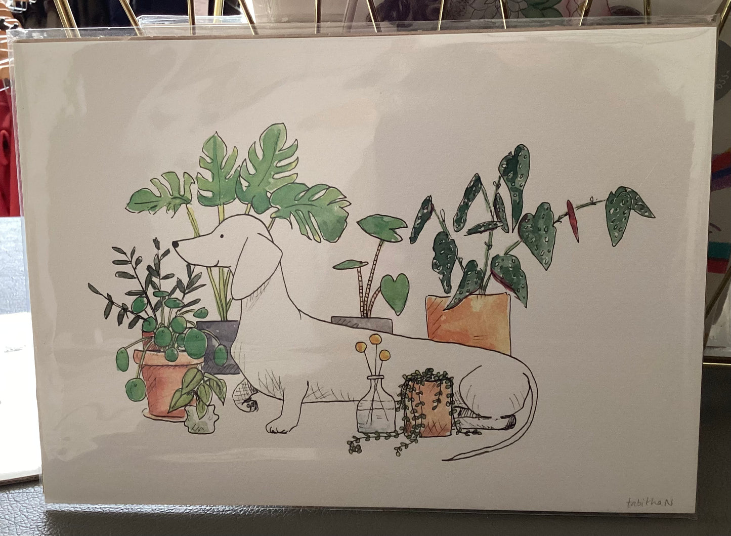 Tabitha Noakes ‘Dachshund and Plants’ A4 Print