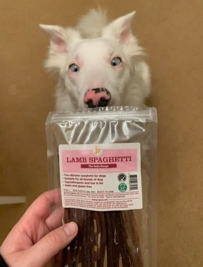 JR Pet Products Lamb Spaghetti