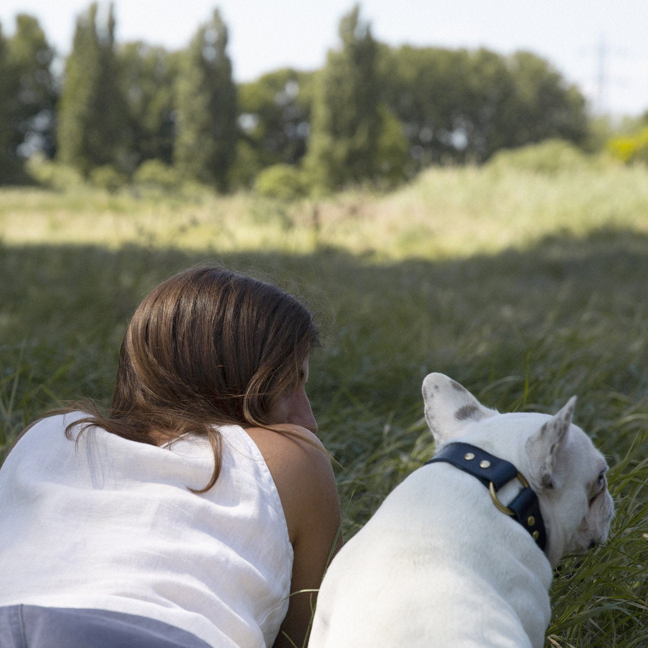 Kintails Navy Leather Dog Collar